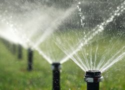 Multiple sprinklers release fine sprays of water across a bright green lawn in a residential area, creating a refreshing scene on a warm afternoon.